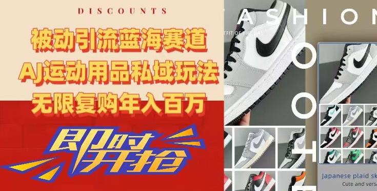 被动引流蓝海赛道，AJ运动用品私域玩法，无限复购年入百万【揭秘】-搞个副业