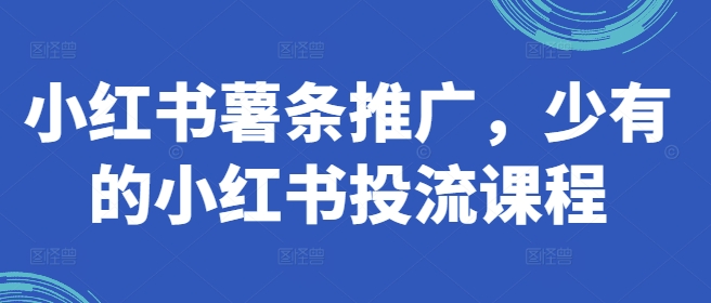 小红书薯条推广，少有的小红书投流课程-搞个副业