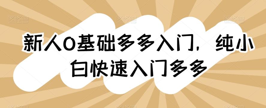 新人0基础多多入门，​纯小白快速入门多多-搞个副业