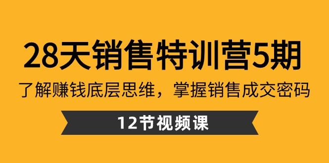 28天销售特训营5期：了解赚钱底层思维，掌握销售成交密码（12节课）-搞个副业