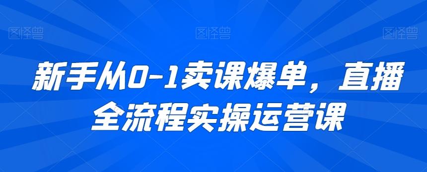 新手从0-1卖课爆单，直播全流程实操运营课-搞个副业