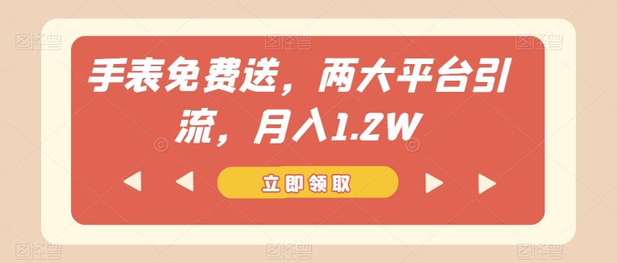 手表免费送，两大平台引流，月入1.2W【揭秘】-搞个副业