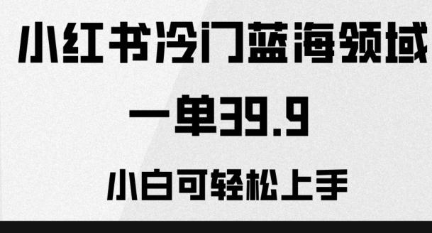 小红书冷门蓝海领域，一单39.9，小白可轻松上手-搞个副业