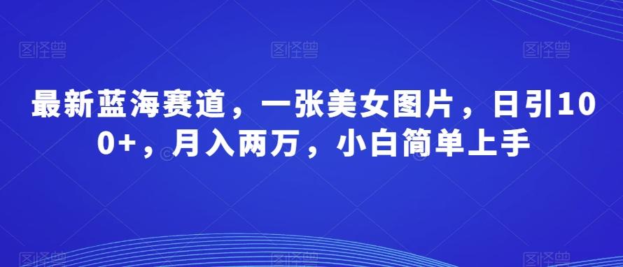 最新蓝海赛道，一张美女图片，日引100+，月入两万，小白简单上手-搞个副业