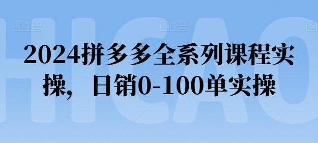 2024拼多多全系列课程实操，日销0-100单实操【必看】-搞个副业