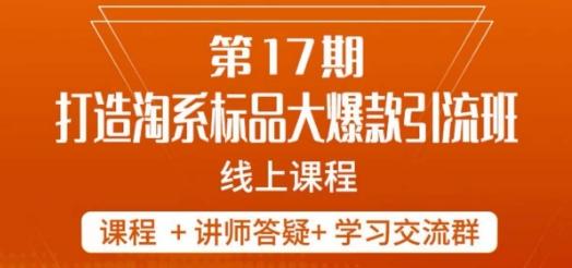 南掌柜-第17期打造淘系标品大爆款，5天线上课-搞个副业