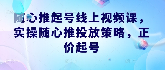 随心推起号线上视频课，实操随心推投放策略，正价起号-搞个副业