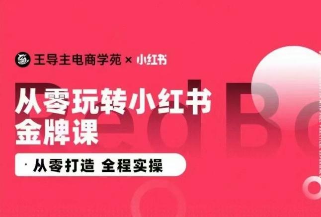 王导主·小红书电商运营实操课，​从零打造  全程实操-搞个副业