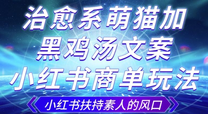 治愈系萌猫加+黑鸡汤文案，小红书商单玩法，3~10天涨到1000粉，一单200左右-搞个副业