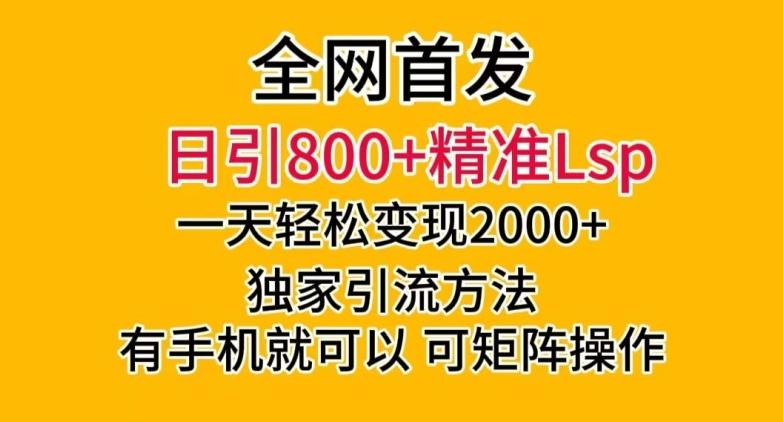 全网首发！日引800+精准老色批，一天变现2000+，独家引流方法，可矩阵操作【揭秘】-搞个副业