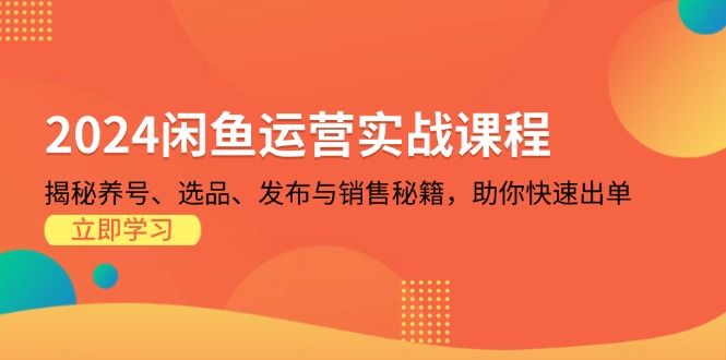 2024闲鱼运营实战课程：揭秘养号、选品、发布与销售秘籍，助你快速出单-搞个副业