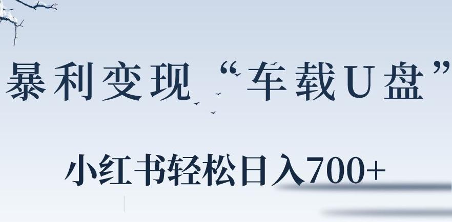 小红书“车载U盘”暴利引流，日入700+-搞个副业