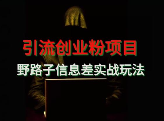 【引流创业粉】野路子信息差玩法实战教学-搞个副业