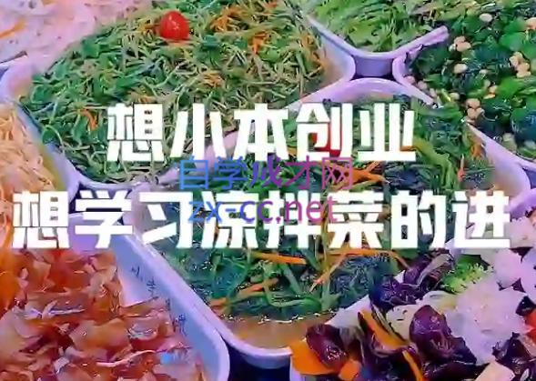 李记·精品凉拌菜系列热卤系列教程-搞个副业