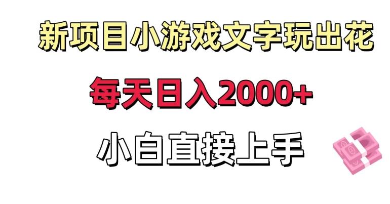 新项目小游戏文字玩出花日入2000+，每天只需一小时，小白直接上手【揭秘】-搞个副业