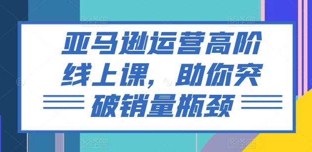 亚马逊运营高阶线上课，助你突破销量瓶颈-搞个副业