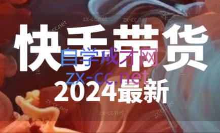 快手带货(2024最新)-搞个副业