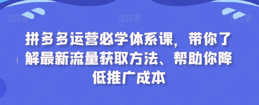 拼多多运营必学体系课，带你了解最新流量获取方法、帮助你降低推广成本-搞个副业
