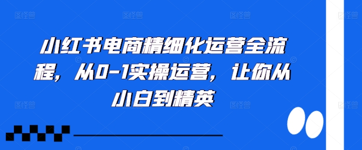 小红书电商精细化运营全流程，从0-1实操运营，让你从小白到精英-搞个副业