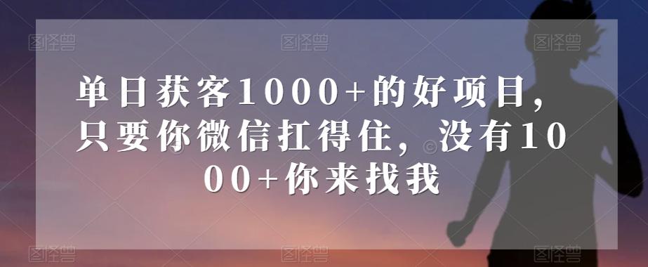 单日获客1000+的好项目，只要你微信扛得住，没有1000+你来找我【揭秘】-搞个副业