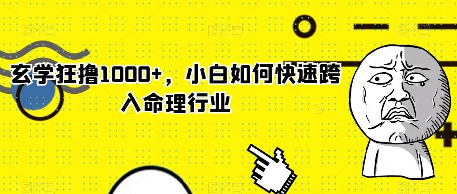 玄学狂撸1000+，小白如何快速跨入命理行业-搞个副业