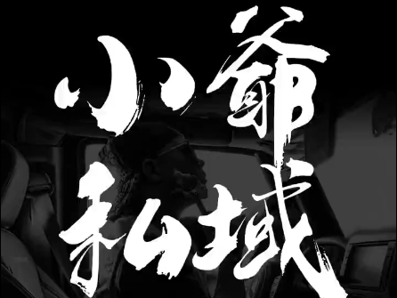 小爷·私域项目操盘手-搞个副业