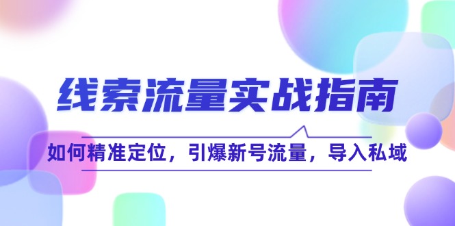 线 索 流 量-实战指南：如何精准定位，引爆新号流量，导入私域-搞个副业