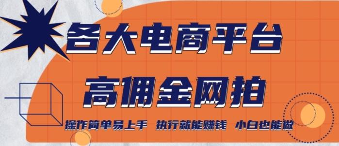 各大电商平台高佣金网拍，操作简单易上手，执行就能赚钱，小白也能做-搞个副业