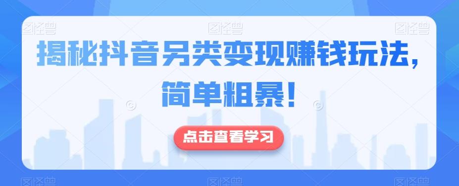 揭秘抖音另类变现赚钱玩法，简单粗暴！-搞个副业