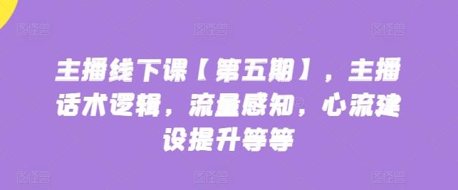 主播线下课【第五期】，主播话术逻辑，流量感知，心流建设提升等等-搞个副业