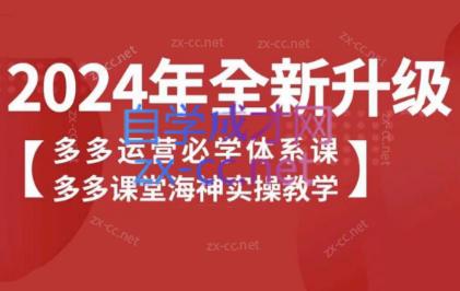 海神老师·拼多多运营必学体系课-搞个副业