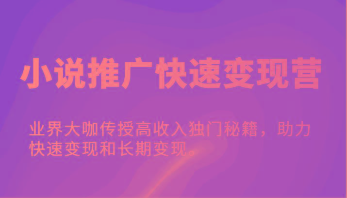 小说推广快速变现营-业界大咖传授高收入独门秘籍，助力快速变现和长期变现。-搞个副业