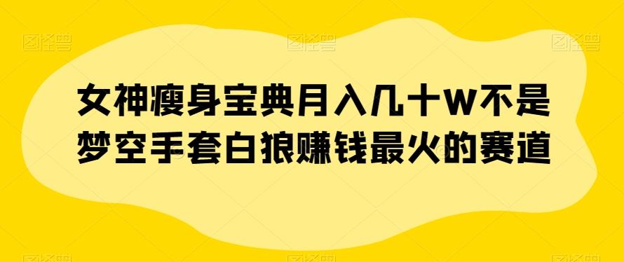 女神瘦身宝典月入几十W不是梦空手套白狼赚钱最火的赛道【揭秘】-搞个副业