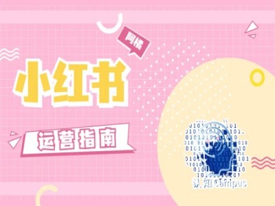 小红书运营指南，没有套路，全是经验-搞个副业