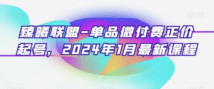 臻曦联盟-单品微付费正价起号，2024年1月最新课程-搞个副业