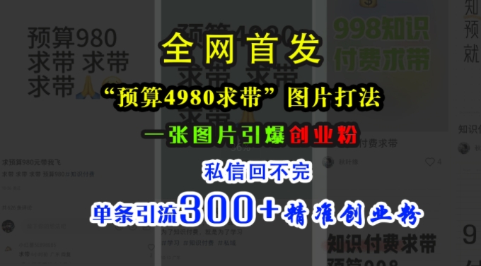 小红书“预算4980带我飞”图片打法，一张图片引爆创业粉，私信回不完，单条引流300+精准创业粉-搞个副业
