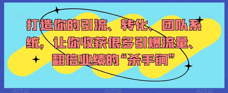 打造你的引流、转化、团队系统，让你收获很多引爆流量、翻倍业绩的“杀手锏”-搞个副业
