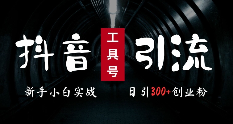 2024最新抖音工具号引流玩法，高效日引300+创业粉，当天变现5k，小白也可成为实战高手-搞个副业