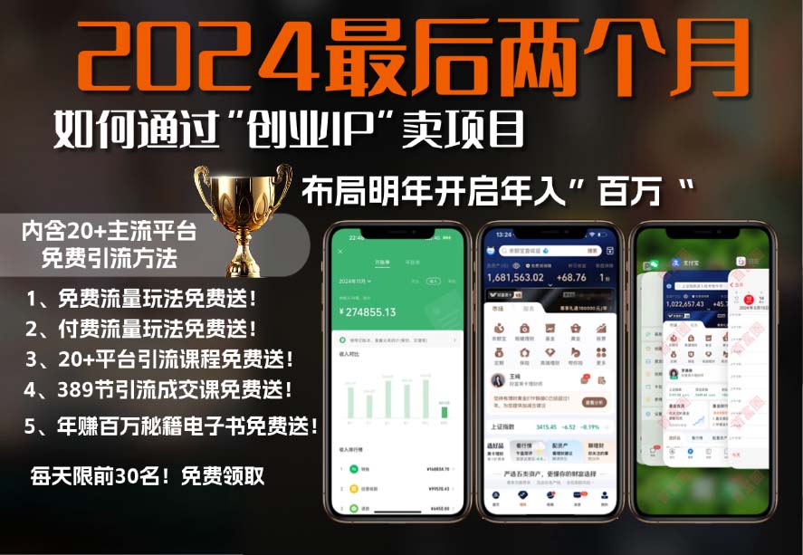 2024最后两个月如何通过”创业IP“卖项目年入”百万“,创业IP+最强引流…-搞个副业