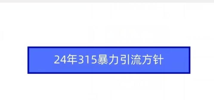 24年315暴力引流方针-搞个副业