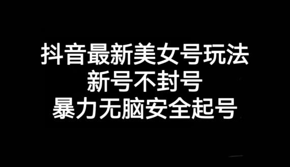 抖音最新美女号玩法，新号不封号，暴力无脑安全起号【揭秘】-搞个副业