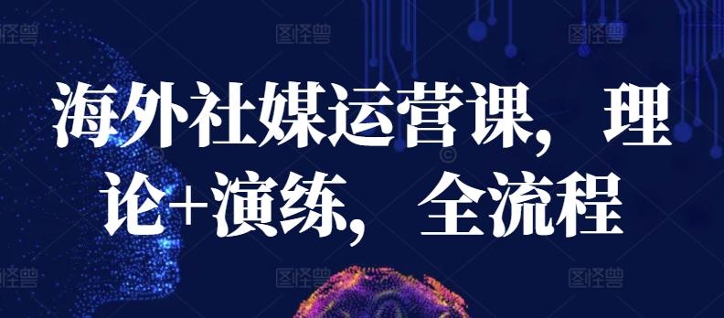 海外社媒运营课，理论+演练，全流程-搞个副业