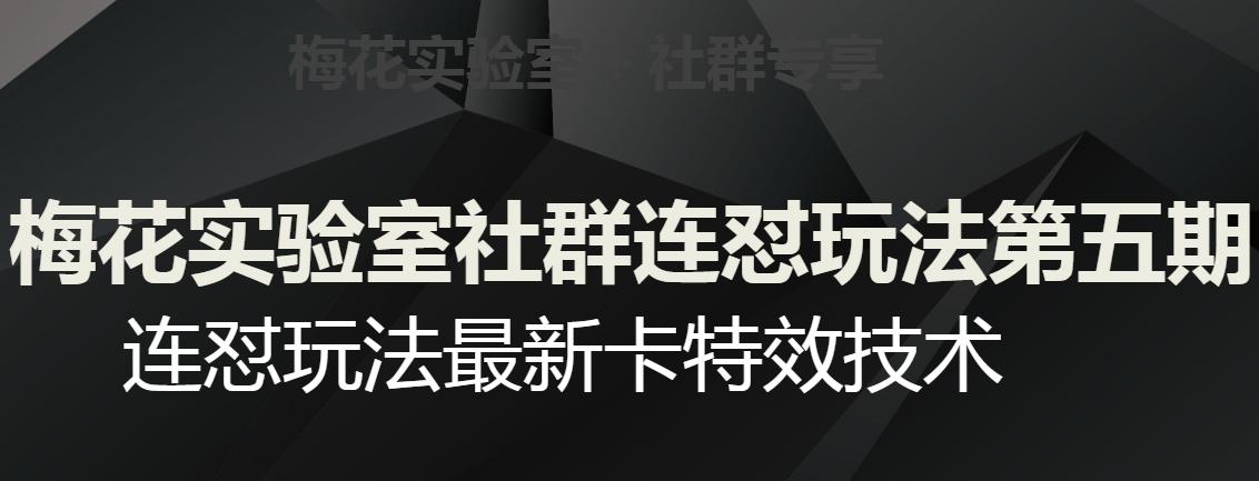 梅花实验室社群连怼玩法第五期，视频号连怼玩法最新卡特效技术-搞个副业