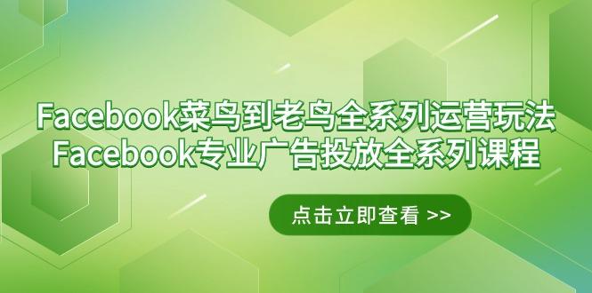 Facebook-菜鸟到老鸟全系列运营玩法+Facebook-专业广告投放全系列课程-搞个副业