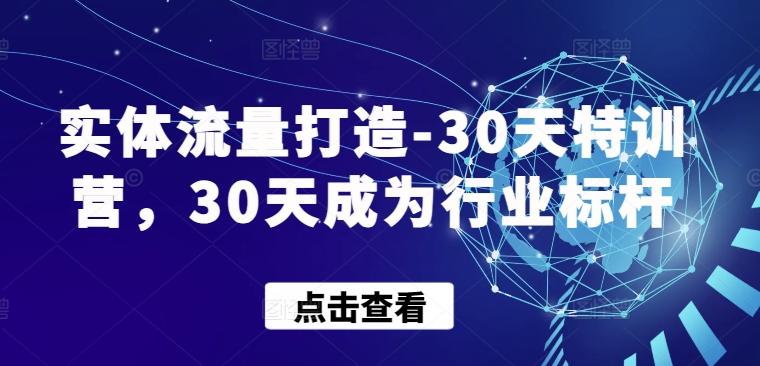 实体流量打造-30天特训营，30天成为行业标杆-搞个副业