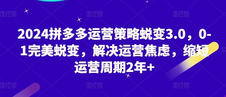 2024拼多多运营策略蜕变3.0，0-1完美蜕变，解决运营焦虑，缩短运营周期2年+-搞个副业