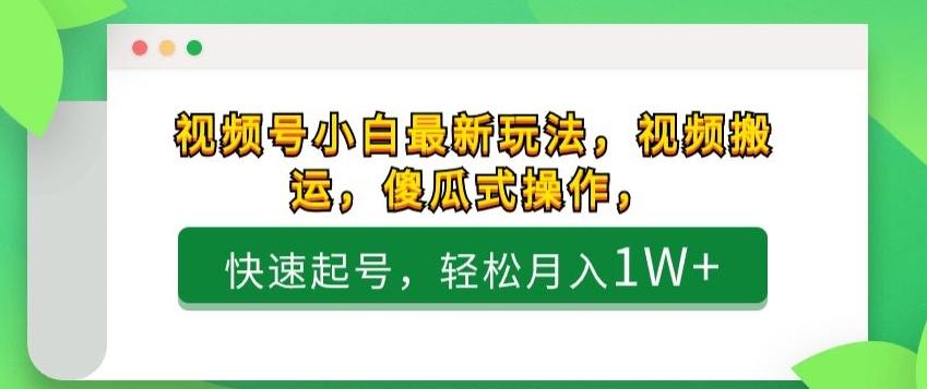视频号小白最新玩法，视频搬运，傻瓜式操作，快速起号，轻松月入1W+-搞个副业
