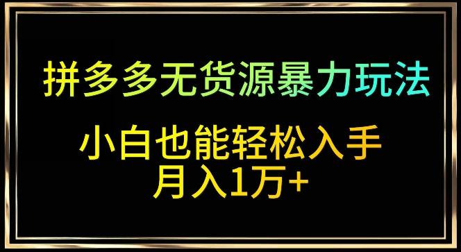 拼多多无货源暴力玩法，全程干货，小白也能轻松入手，月入1万+【揭秘】-搞个副业