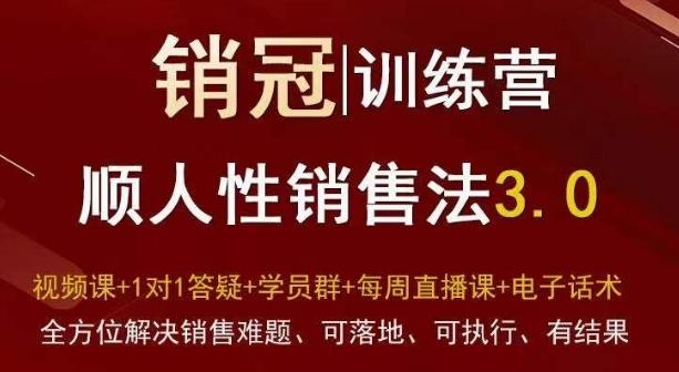 爆款！销冠训练营3.0之顺人性销售法，全方位解决销售难题、可落地、可执行、有结果-搞个副业