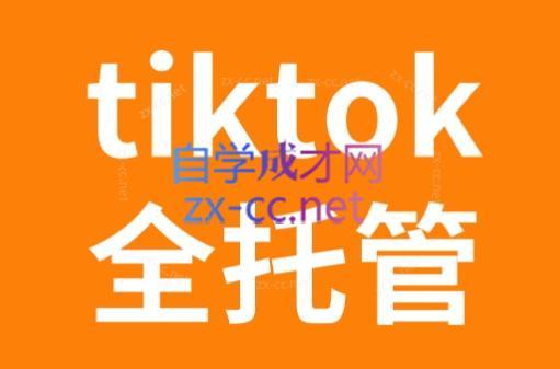 TikTok跨境电商全托管运营模式精品课-搞个副业